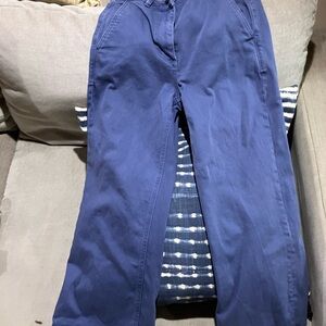 Everlane Blue Ankle Cropped Pants